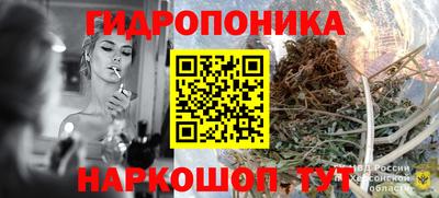 ешки Славянск-на-Кубани