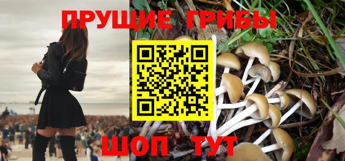 Псилоцибиновые грибы прущие грибы Ногинск