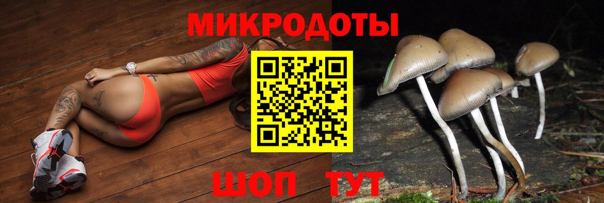 Ногинск  Псилоцибиновые грибы мицелий  Вход с VPN 
